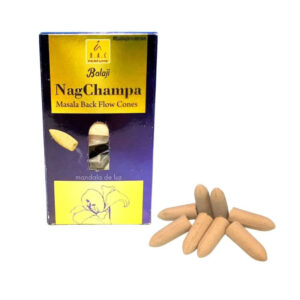 Kit 2 Incensos Cascata Backflow Massala Balaji Nag Champa