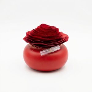 Rosa Decorativa (Perfumada) Natale - Ed. Especial Natal - Antik